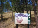 PICTURES/Pikes Peak - No Bust/t_Bat Road Sign.jpg